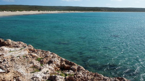 Auch der zweite Platz in Edel Land liegt sehr schön an einer weiten Sandbucht. Hier lässt es sich im ruhigen Wasser gut schwimmen.