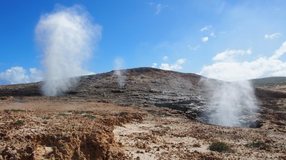 An der Steilküste des Parks gibt es ein besonderes Naturschauspiel zu bewundern: die Blowholes. Das sind Löcher in der Felsenküste, die sich bei hereinbrechenden Wellen mit Wasser füllen, bis sich ein hoher Druck entwickelt und das Wasser in einer Fontäne nach oben ausgestoßen wird. Die Ausbrüche kündigen sich durch Zischen und Grollen an, da erschrickt man zuerst. Und dann ist es gut, wenn man die Windrichtung kennt, sonst ist man anschließend geduscht.