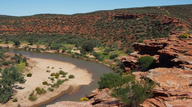 Wir sind jetzt schon gut 600 km nördlich von Perth. Wir haben frühsommerliche Temperaturen, allerdings sind die Nächte teilweise recht kalt. Vorletzte Nacht waren es unter zehn Grad, da wird es Zeit, sich komplett im Schlafsack zu verkriechen. Morgens warten wir dann, bis die Sonne wärmt, bevor wir aufstehen und unsere Hände an der Kaffeetasse wärmen. Aber es wird jetzt jeden Tag etwas wärmer, das Schlimmste haben wir überstanden, hoffen wir. Der Kalbarri National Park ist wieder ein Highlight Westaustraliens. Der Murchison River gräbt schon seit ewigen Zeiten an seinem Flussbett  und hinterlässt an den Ufern hohe Klippen, die wie in Australien üblich, rot gefärbt sind. 