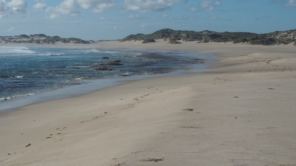 Wir haben unseren Platz beim Ranger im Voraus gebucht und hatten ja keine Ahnung, dass wir diese ganze Bucht für uns haben würden. Schwimmen kann man hier nicht, die Brandung ist zu hefig, aber am Strand gibt es immer etwas zu entdecken, auch Wellen beobachten ist kurzweilig, besonders wenn sie so heftig sind. 