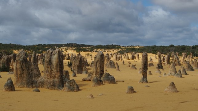 Der Pinnacles Nationalpark, das ist eine der berühmtesten Sehenswürdigkeiten Westaustraliens. Die Kalksteinformationen sind im Laufe von tausenden Jahren entstanden, allein durch das Zusammenspiel von Regen, Wind und Sonne. Man kann auf einer Sandpiste hindurchfahren, nur draufstellen darf man sich nicht. Sie bieten unendlich viele Fotomotive, hier nur zwei Beispiele.