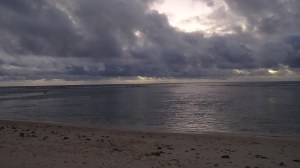 DSC02521