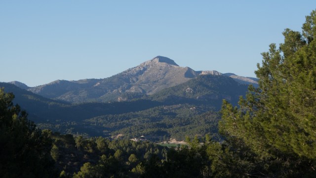 20160225_mallorca-blog_7