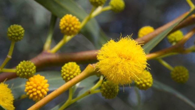 20160226_mallorca-blog_10