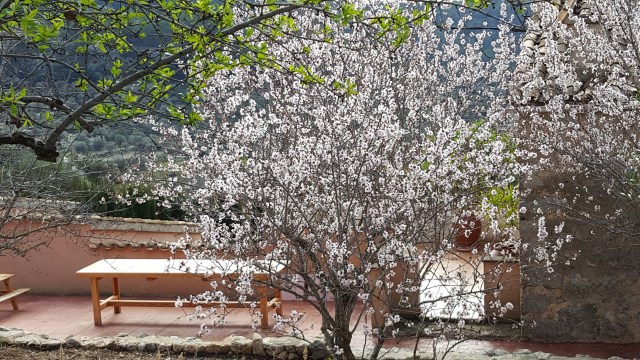 20160226_mallorca-blog_11