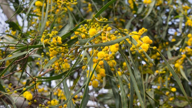 20160226_mallorca-blog_12