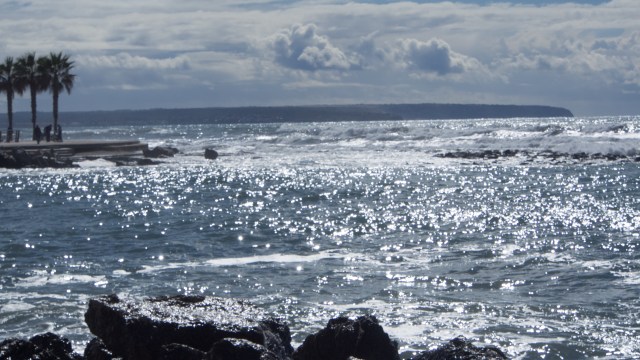 20160228_mallorca-blog_18