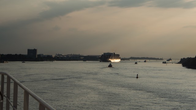 20160621_queen-mary-blog_15