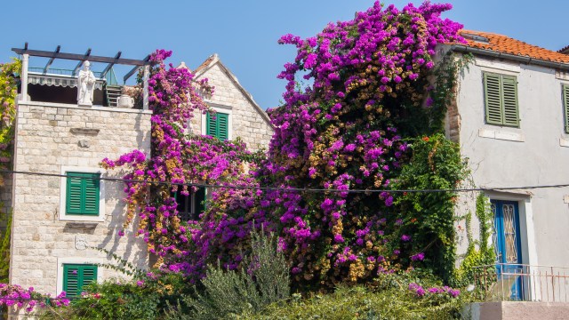 20160912_kroatien-blog_31