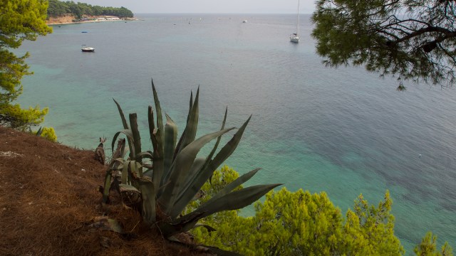 20160914_kroatien-blog_37